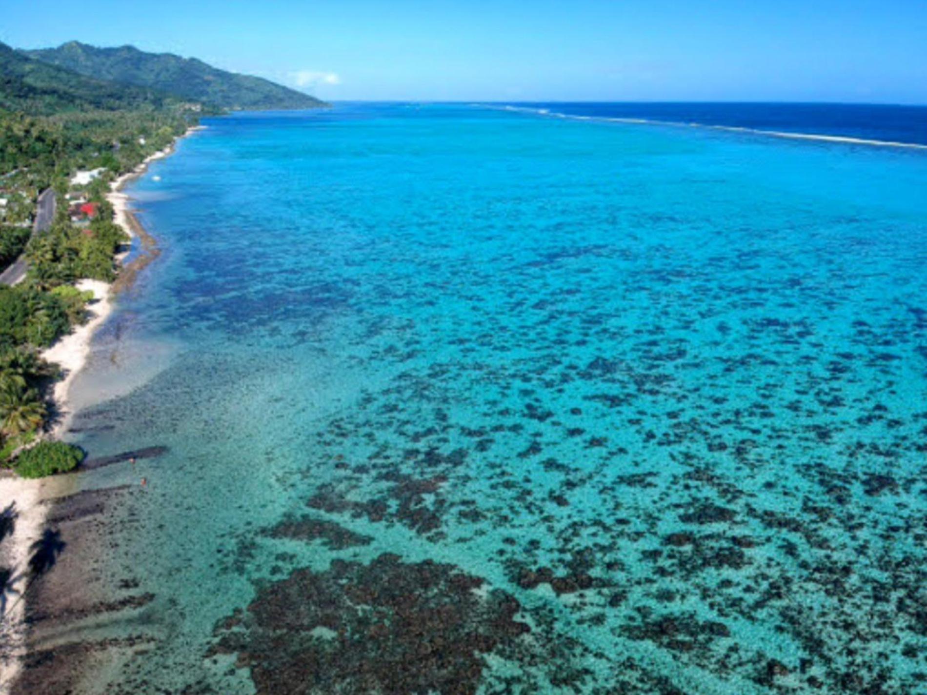 Moorea - Fare Taina Iti آبيتي المظهر الخارجي الصورة